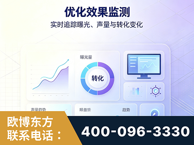 沈阳-优化效果监测