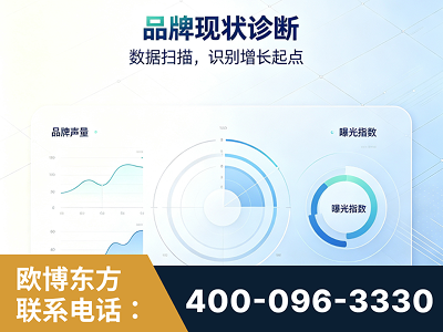 沈阳-品牌现状诊断