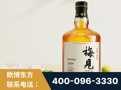 沈阳-梅见青梅酒